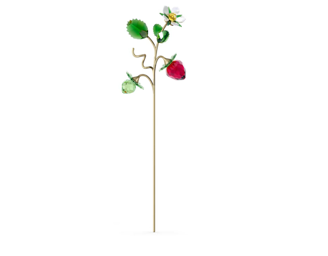 Swarovski 5619232 Garden Tales Walderdbeere