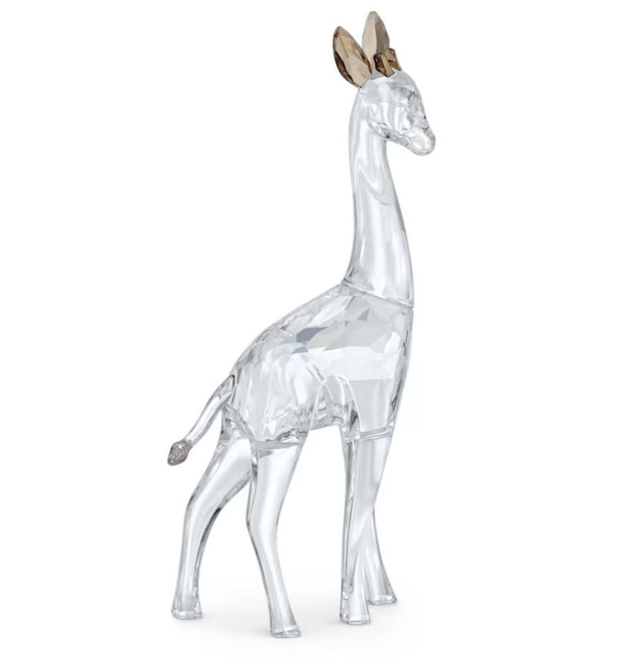 Swarovski 5557858 African Sunset Giraffe Nohea