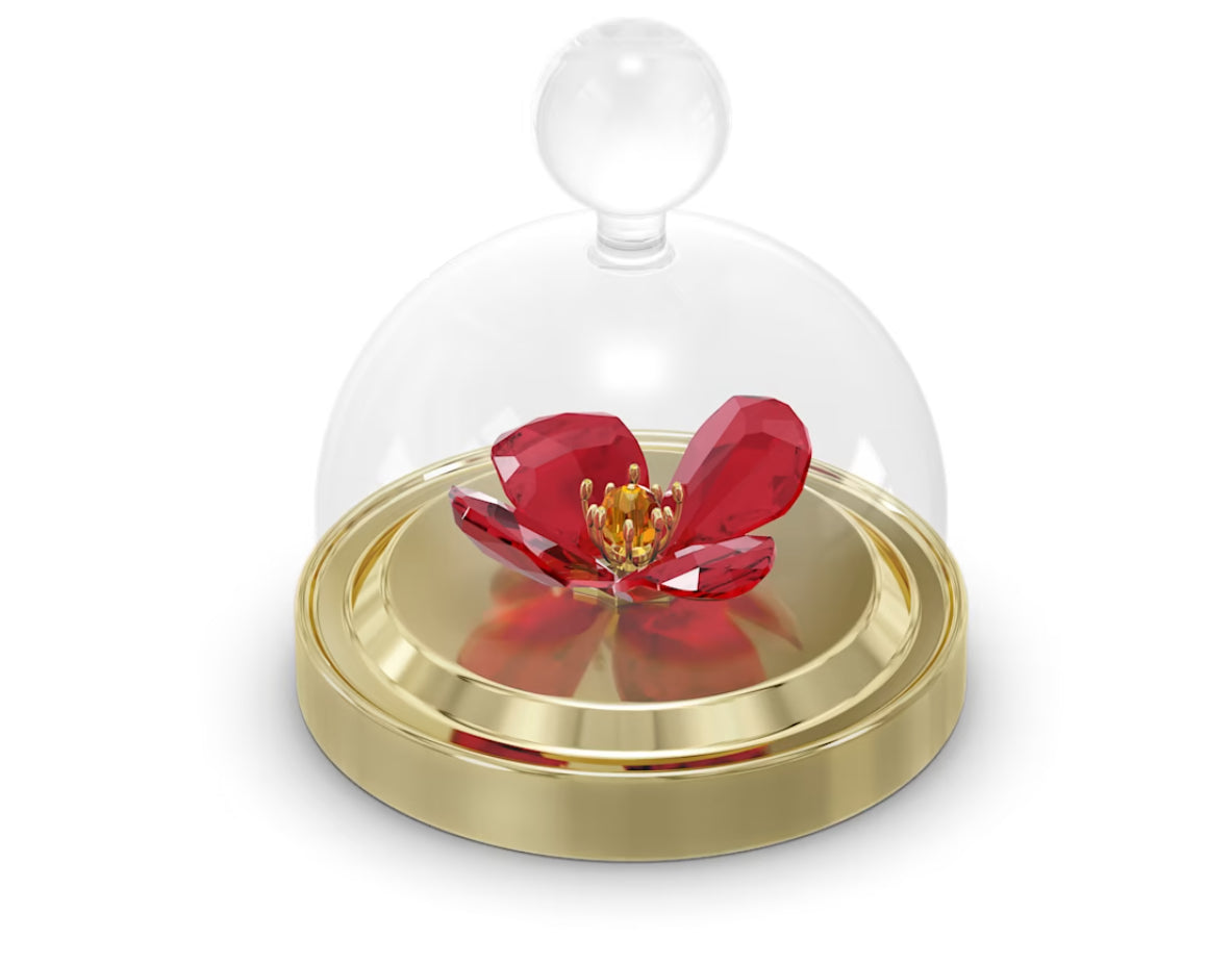 Swarovski 5646022 Garden Tales Kleine Glasglocke mit rotem Mohn