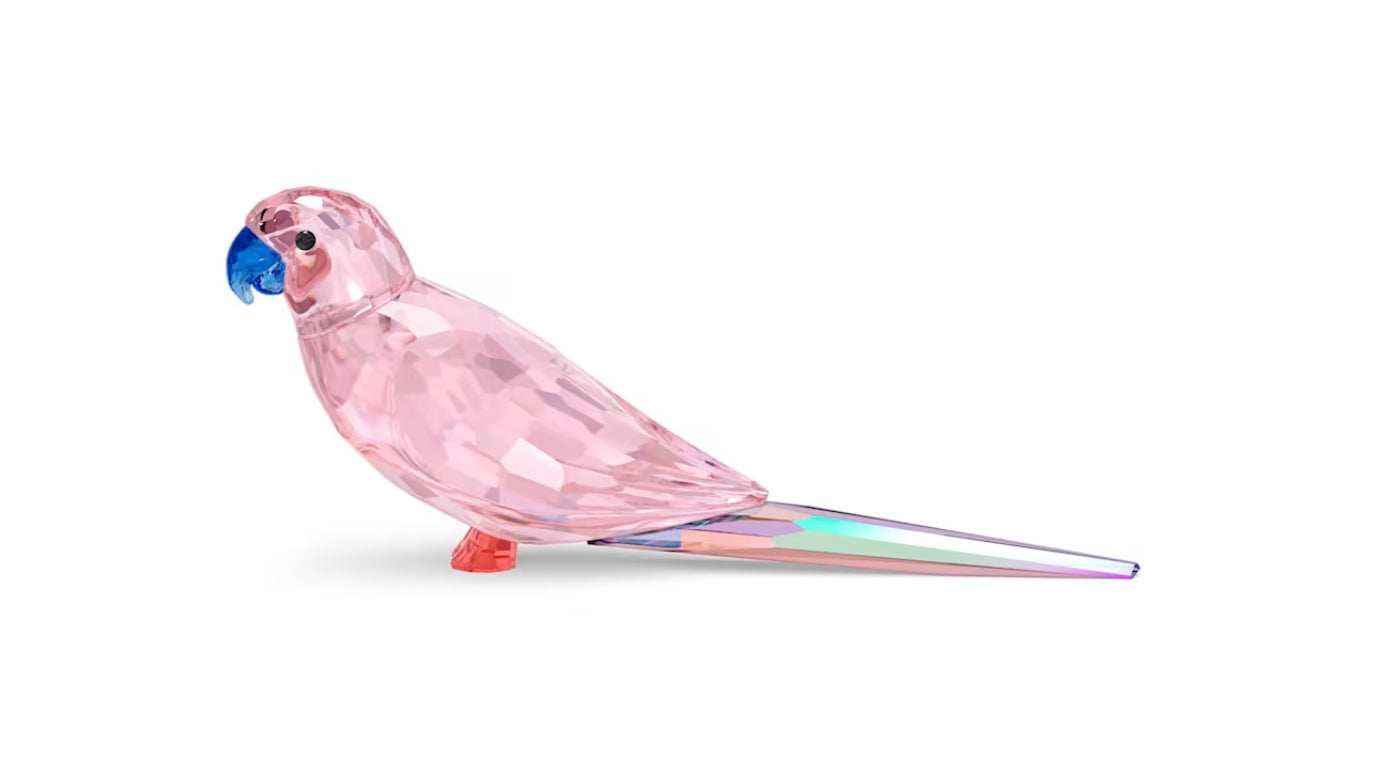 Swarovski 5557848 Jungle Beats Pink Budgie Cha Cha