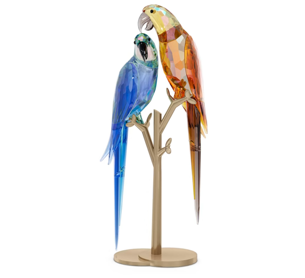 Swarovski 5619218 Jungle Beats Paar Bell & Brio Papageien
