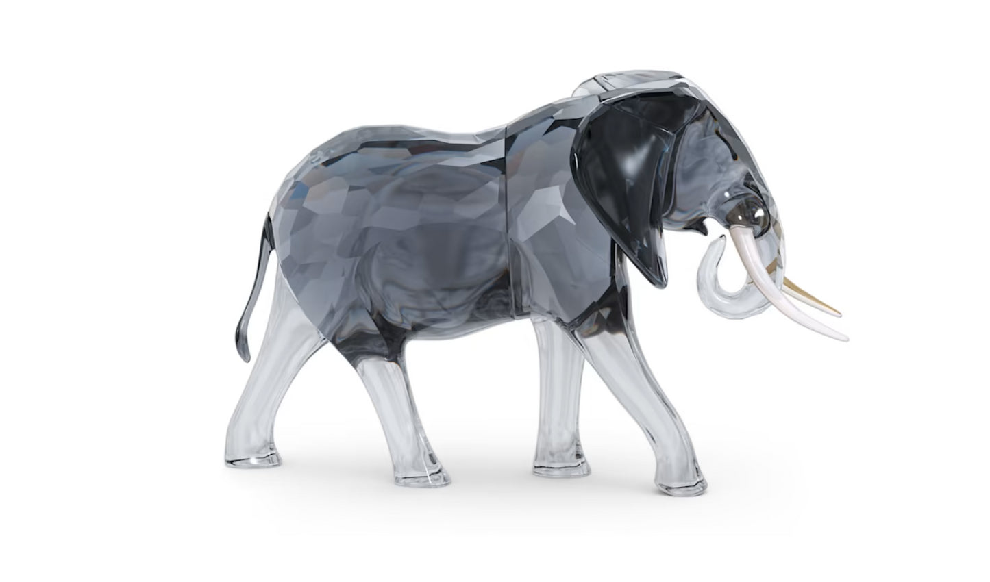 Swarovski 5611302 Elegance of Africa Elefantenbulle