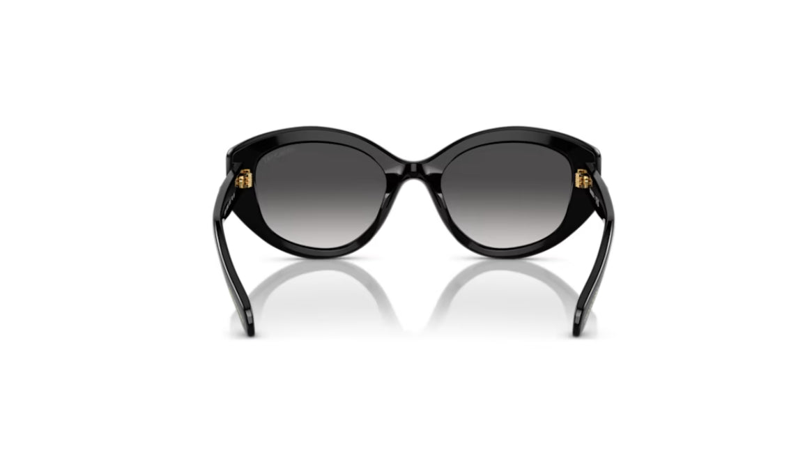 Swarovski 5679527 Cat Eye Shape Sunglasses SK6005EL Black