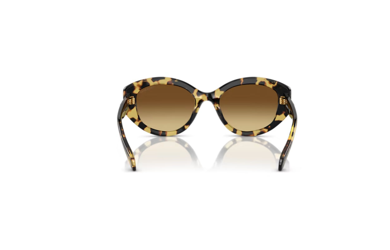 Swarovski 5679535 Cat Eye Shape Sunglasses SK6005EL Brown