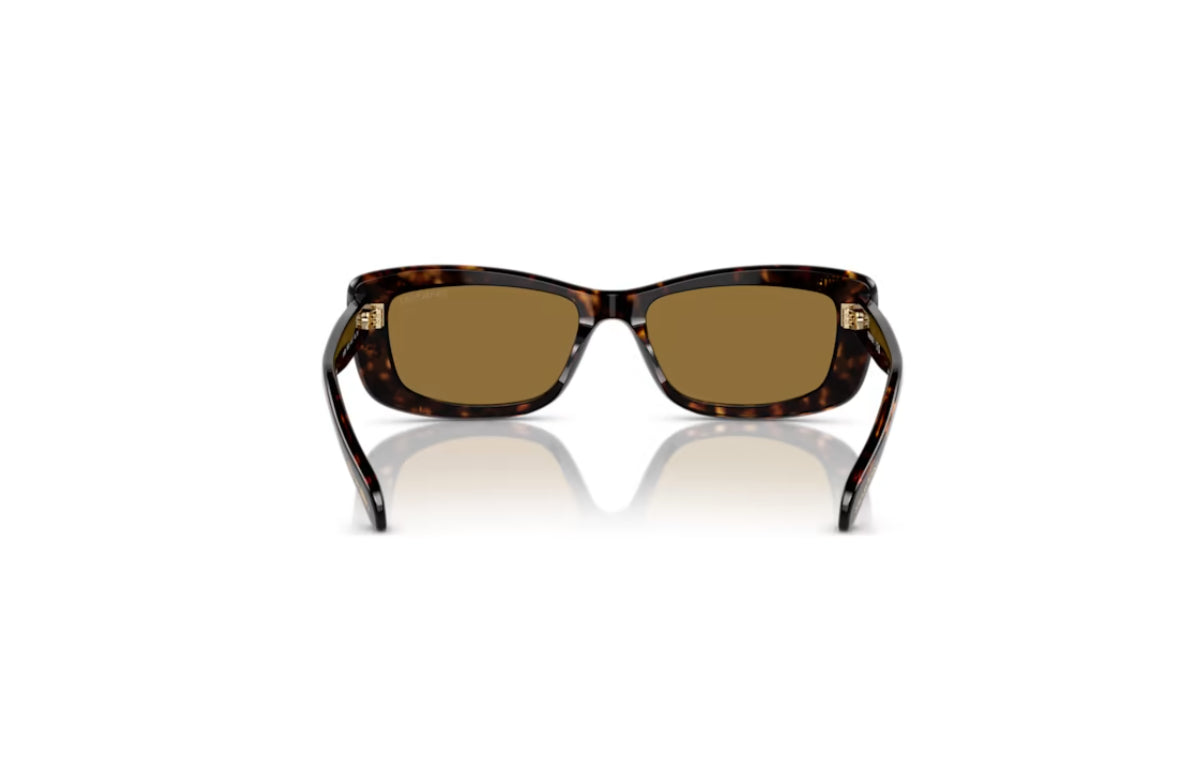 Swarovski 5679536 Sonnenbrille Rechteckige Form SK6008EL Braun