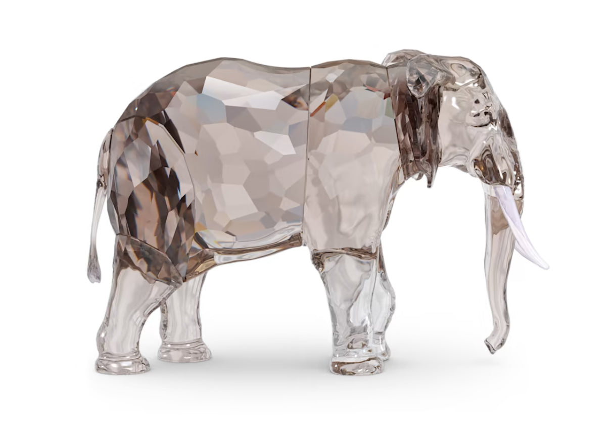 Swarovski 5604555 Elegance of Africa SCS Jahresausgabe 2022 Fayola Elefant