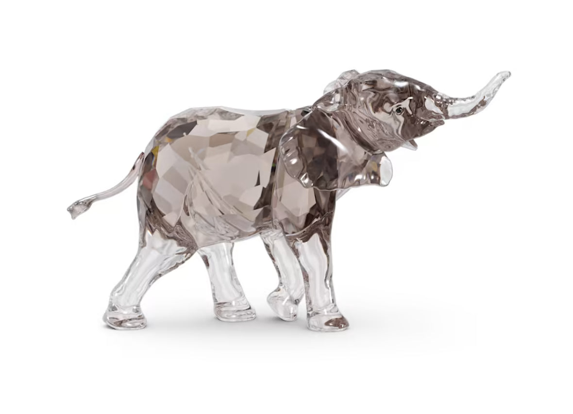Swarovski 5608544 Elegance of Africa SCS Elefantenbaby Mandisa