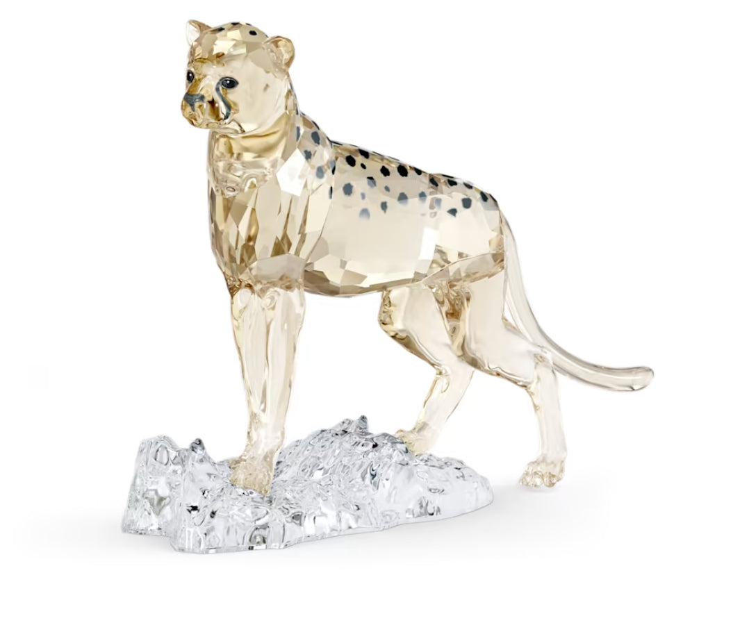 Swarovski 5636484 Elegance of Africa SCS Baby Cheetah Jabari