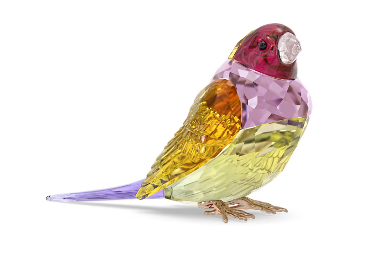Swarovski 5689265 Idyllia SCS Gouldian Diamond Large
