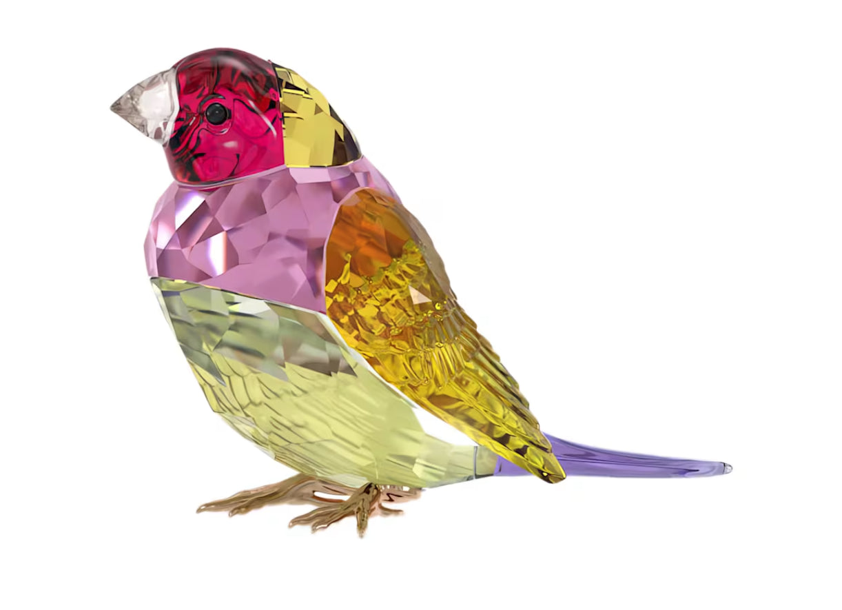Swarovski 5689265 Idyllia SCS Gouldian Diamond Large