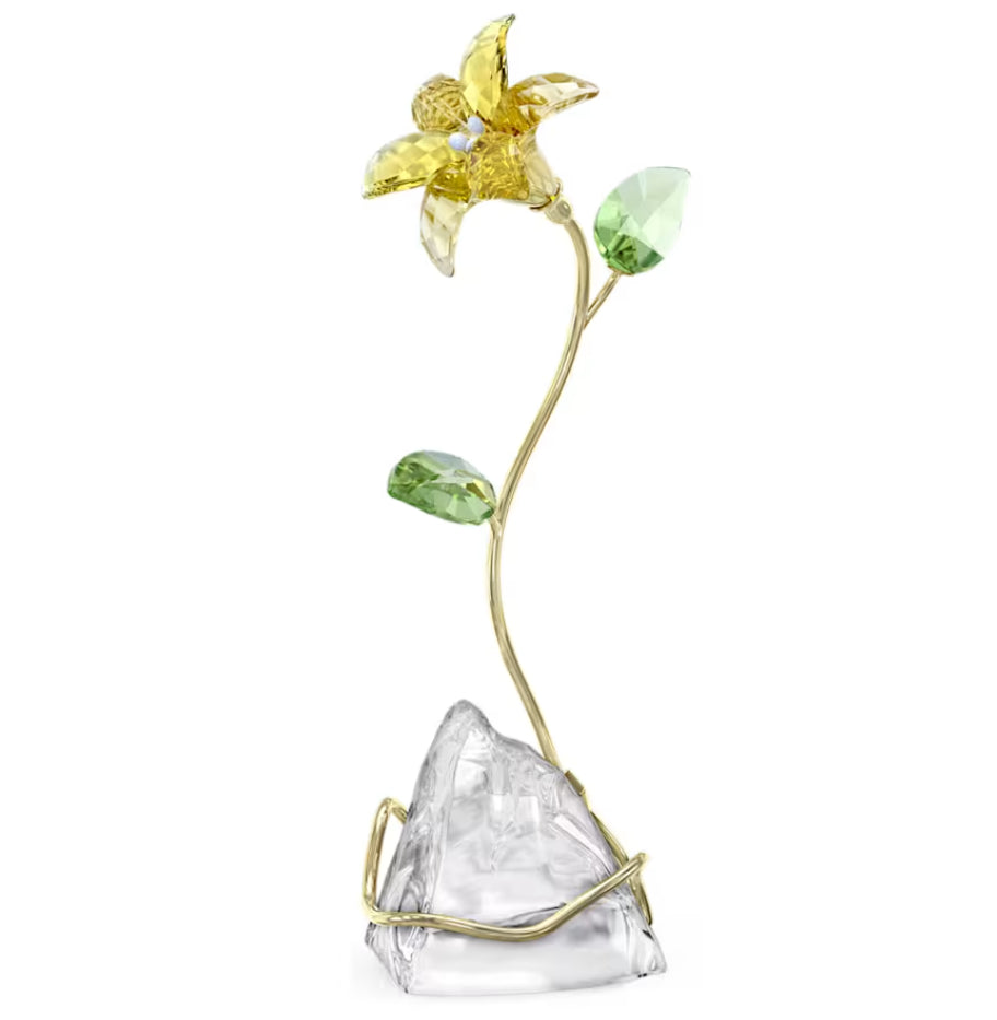 Swarovski 5666972 Florere Lilie