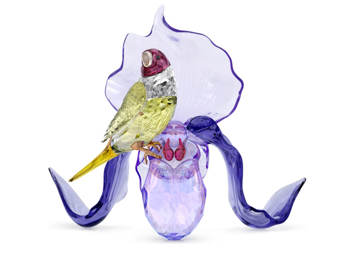 Swarovski 5675211 Idyllia Diamante di Gould e Orchidea