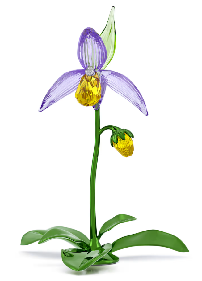 SWAROVSKI 5721548 Florere Orchidea Scarpetta di Venere SW003979