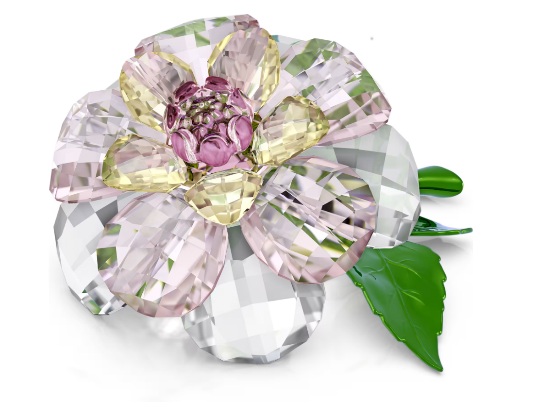 SWAROVSKI 5721538 Florere Camelia SW004063