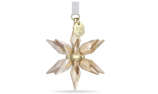 Swarovski 5701505 Annual Edition Decorazione 3D Festive 2025
