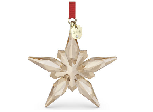 Swarovski 5701826 Annual Edition Decorazione Festive 2025