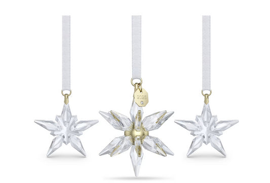 Swarovski 5701628 Annual Edition Set Decorazioni 3D 2025