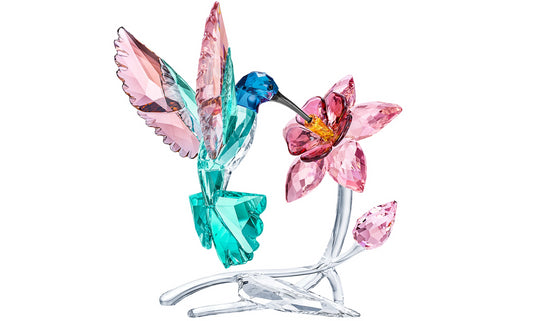 Swarovski 5728071 Colibri