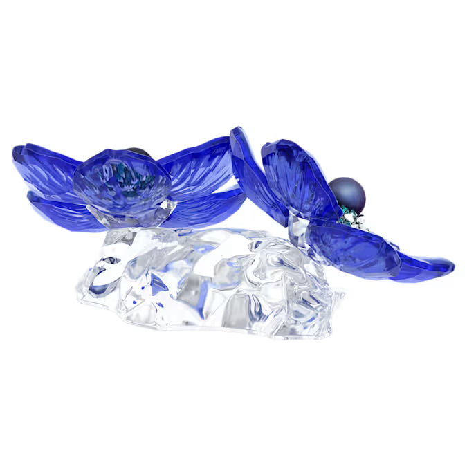 Swarovski 5717850 Idyllia SCS Anemone Coronaria SW004361